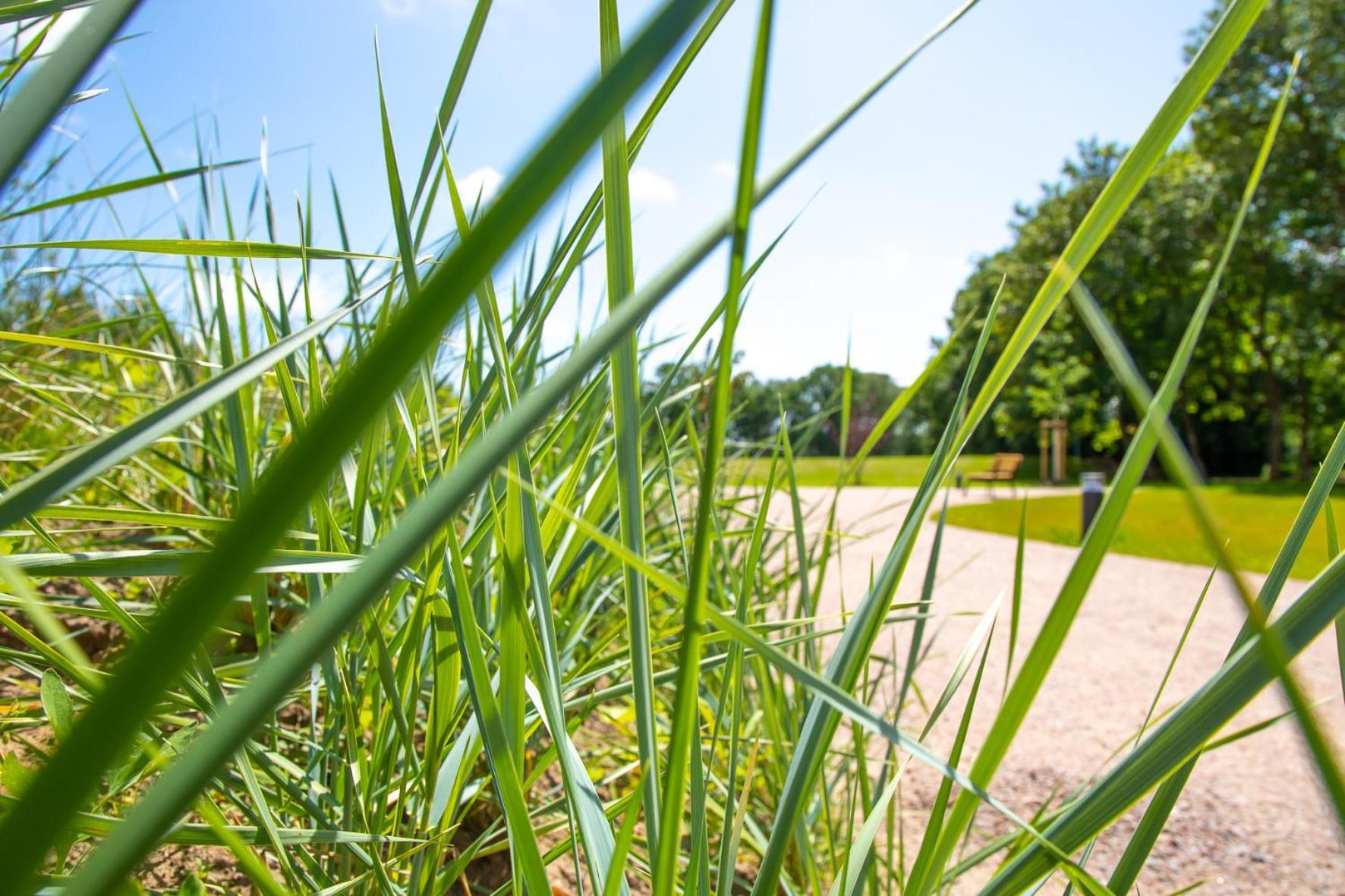 Wohnen Am Suedstrand - Ferienwohnung 1 1 Wyk auf Föhr Buitenkant foto