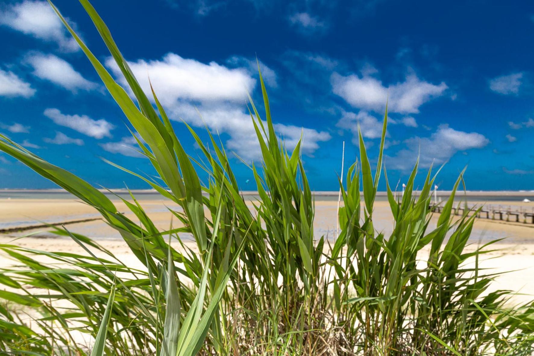 Wohnen Am Suedstrand - Ferienwohnung 1 1 Wyk auf Föhr Buitenkant foto