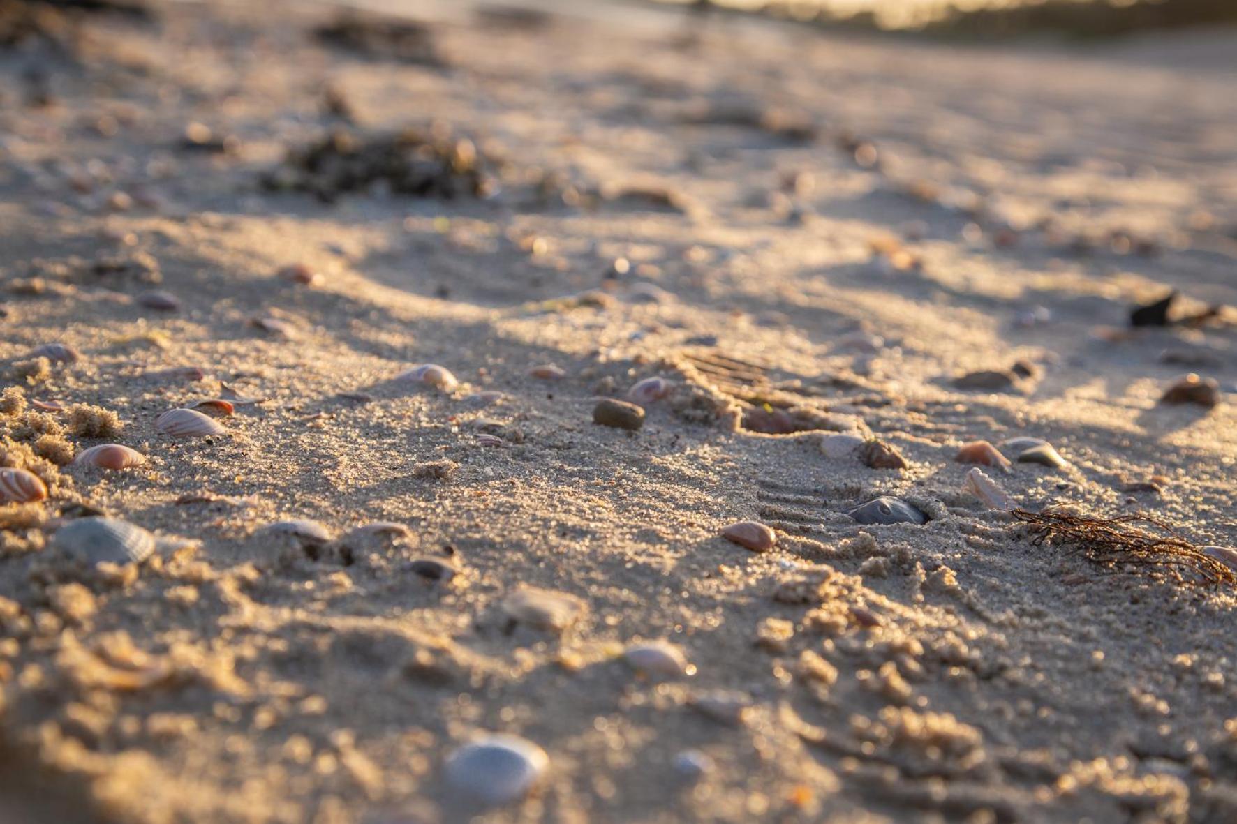 Wohnen Am Suedstrand - Ferienwohnung 1 1 Wyk auf Föhr Buitenkant foto